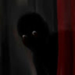 Meet your Posher, Arnella